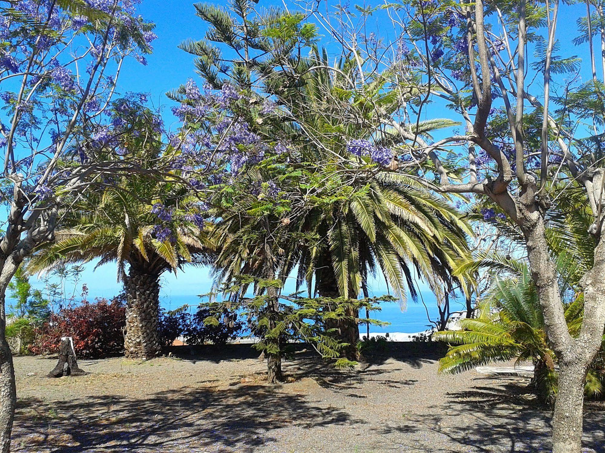 La Palma Sun Nudist Apartment Todoque Bagian luar foto